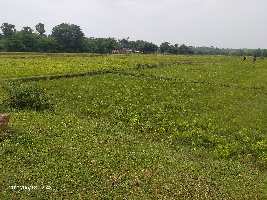  Agricultural Land for Sale in Rampurhat, Birbhum