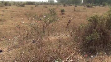  Residential Plot for Sale in Bombay Hospital Service Road, Indore