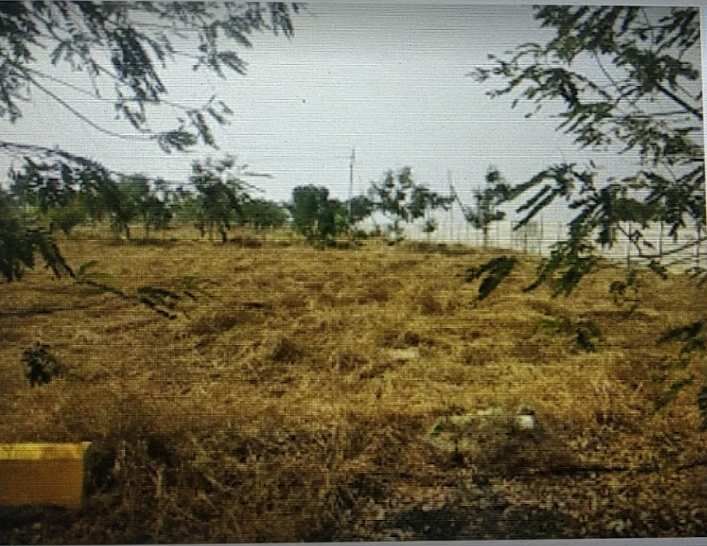  Residential Plot 290 Sq. Yards for Sale in Moinabad, Hyderabad