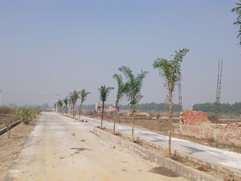  Residential Plot 1002 Sq.ft. for Sale in Gosainganj, Lucknow