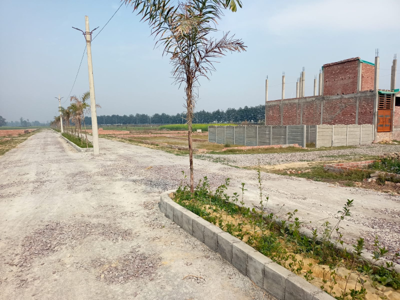  Residential Plot 1066 Sq.ft. for Sale in Gosainganj, Lucknow