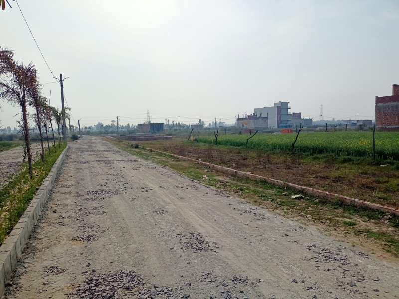  Residential Plot 1074 Sq.ft. for Sale in Gosainganj, Lucknow