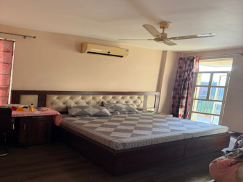 4.5 BHK Flat for Sale in Sector 24 Panchkula