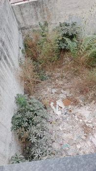  Residential Plot for Sale in Sector 26 Panchkula