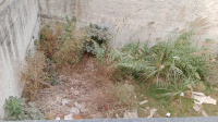  Residential Plot for Sale in Sector 28 Panchkula