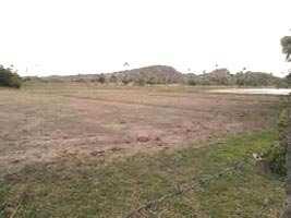  Residential Plot for Sale in Noida Extension, Greater Noida