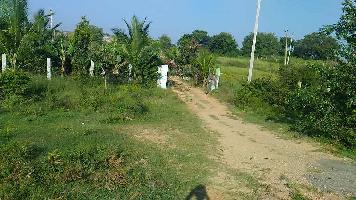  Agricultural Land for Sale in Bagepalli, ChikBallapur