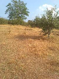  Agricultural Land for Sale in Piranwadi, Belgaum