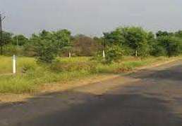 Agricultural Land 5 Acre for Sale in Narkhed, Nagpur