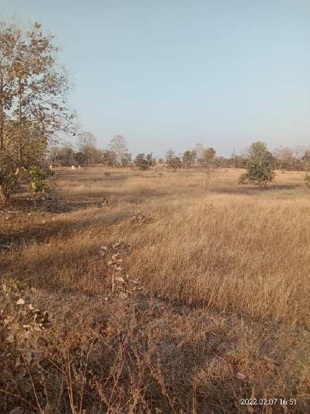 Agricultural Land 1 Acre for Sale in Narkhed, Nagpur