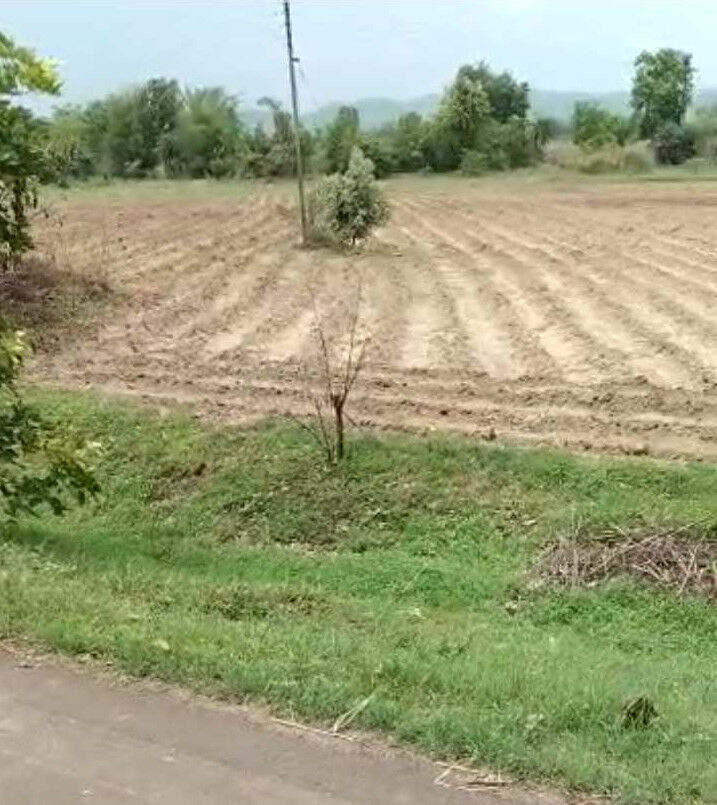  Agricultural Land 10 Acre for Sale in Saoner, Nagpur