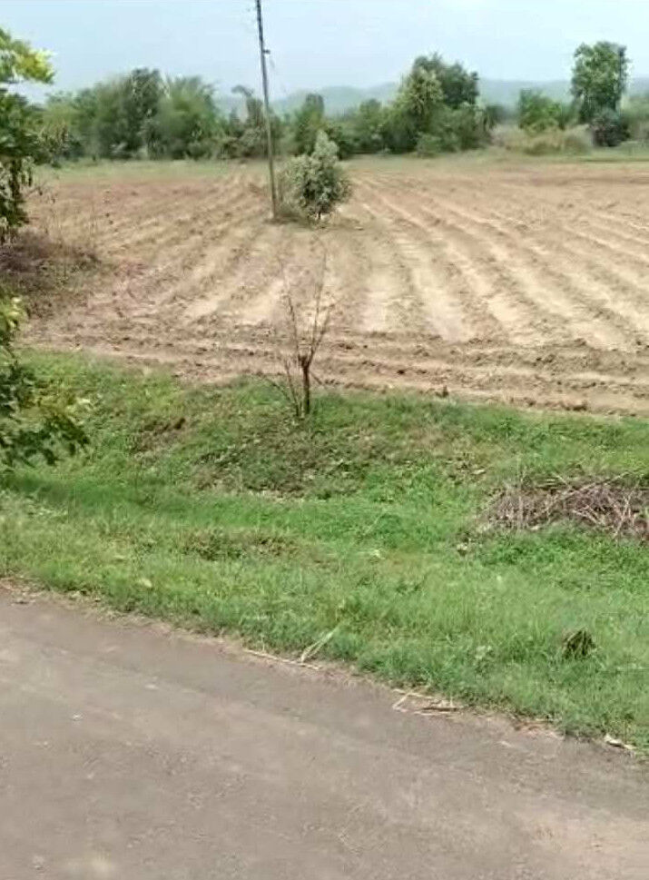  Agricultural Land 15 Acre for Sale in Katol, Nagpur