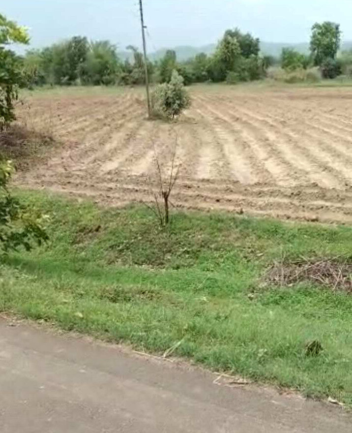  Agricultural Land 4 Acre for Sale in Parseoni, Nagpur