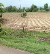  Agricultural Land for Sale in Narkhed, Nagpur