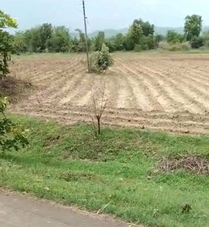  Agricultural Land 26 Acre for Sale in Narkhed, Nagpur