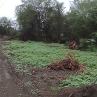  Agricultural Land for Sale in Narkhed, Nagpur