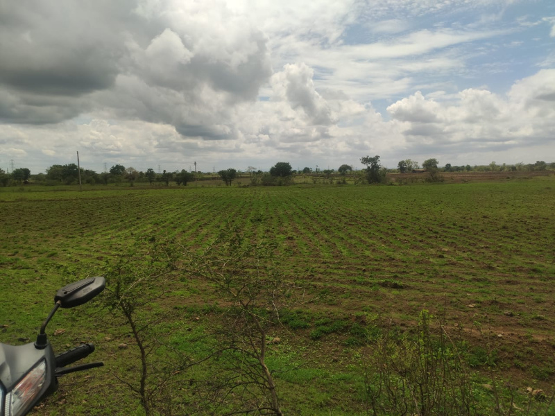 Agricultural Land 30 Acre for Sale in Narkhed, Nagpur