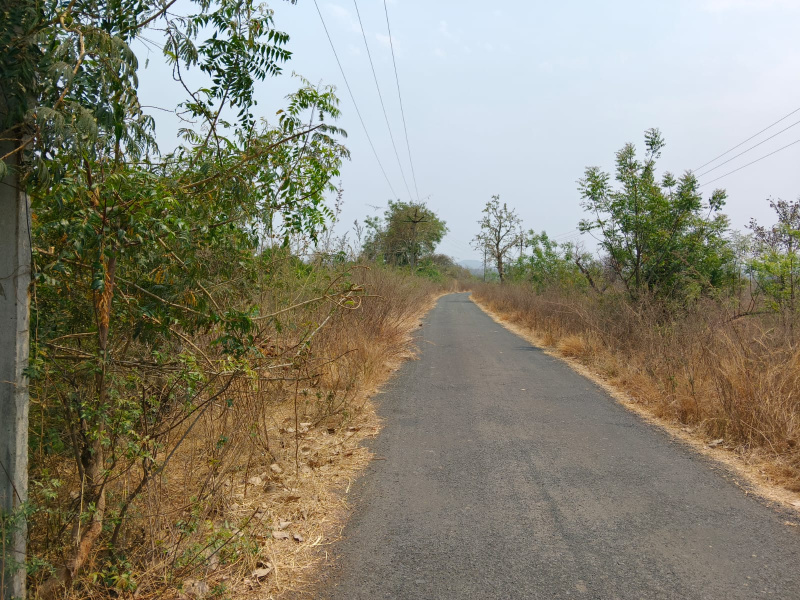  Agricultural Land 6 Acre for Sale in Hingna, Nagpur