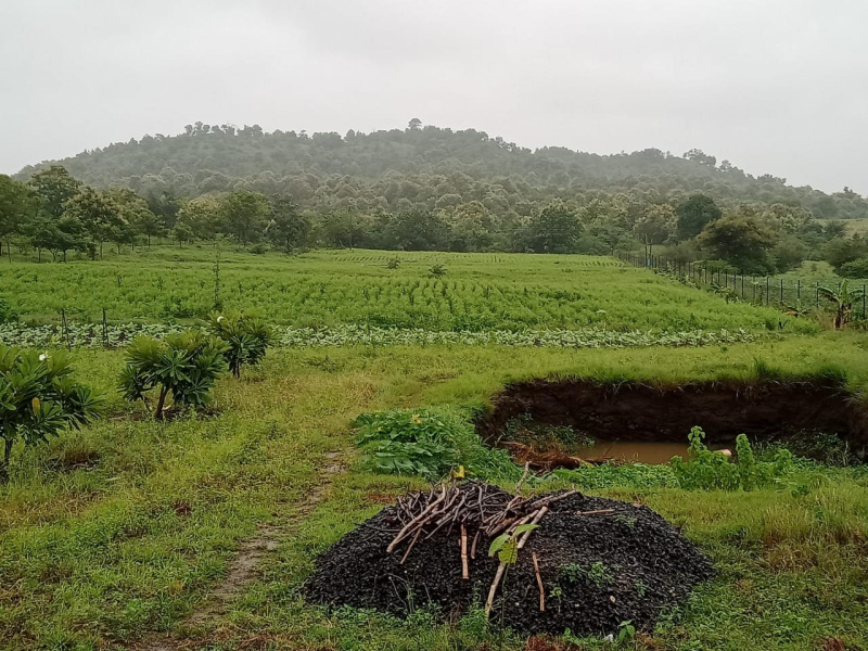  Agricultural Land 6 Acre for Sale in Kondhali, Nagpur
