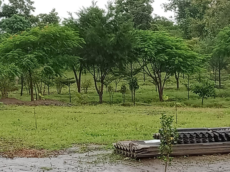  Agricultural Land 11 Acre for Sale in Bhandara Road, Nagpur