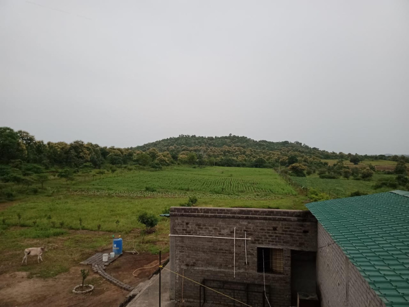  Agricultural Land 24 Acre for Sale in Hingna, Nagpur