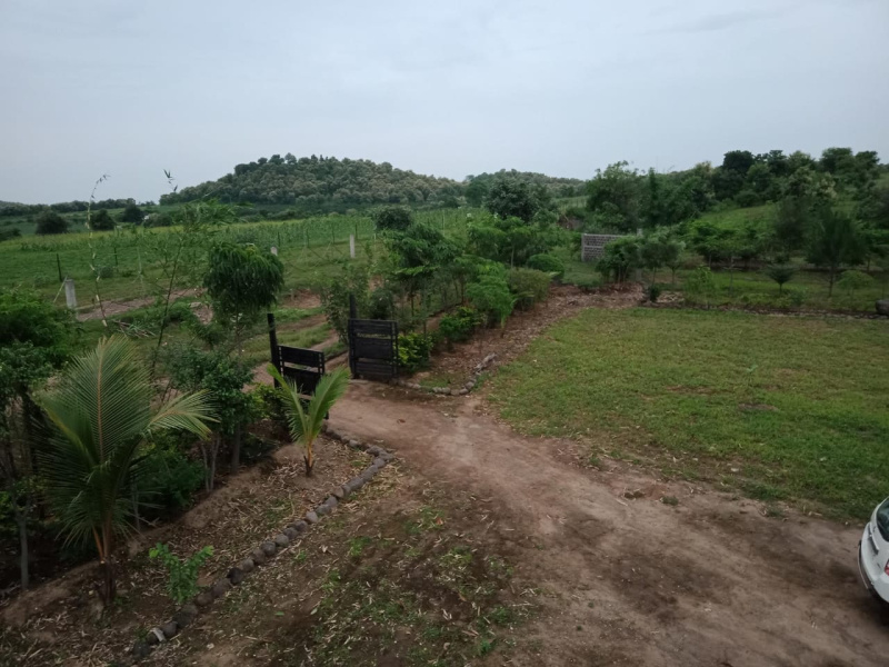  Agricultural Land 10000 Sq.ft. for Sale in Kondhali, Nagpur