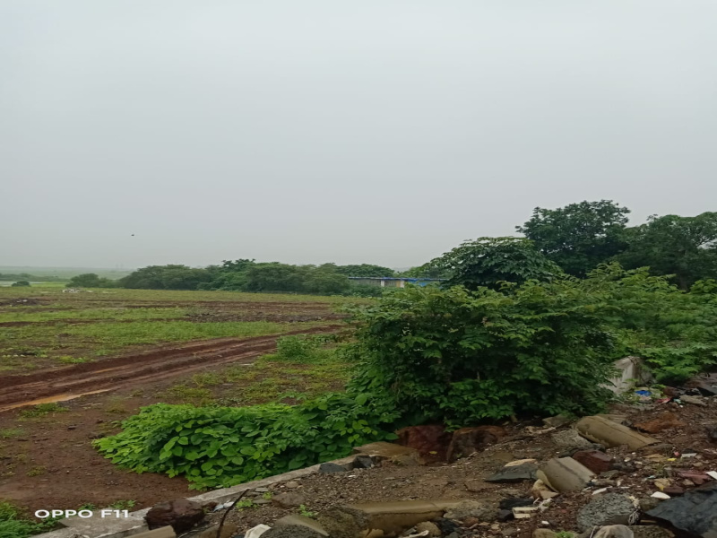  Agricultural Land 3 Acre for Sale in Borkhedi, Nagpur