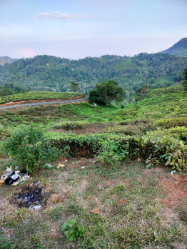  Residential Plot for Sale in Kotagiri, Nilgiris