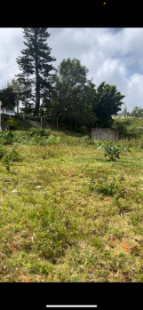  Residential Plot for Sale in Kotagiri, Nilgiris