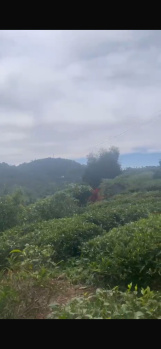  Residential Plot for Sale in Coonoor, Nilgiris