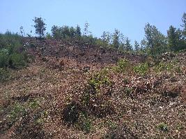  Agricultural Land for Sale in Ketti, Ooty