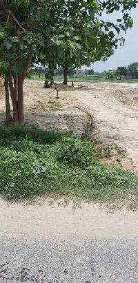  Agricultural Land for Sale in Ambala Road, Saharanpur