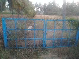  Agricultural Land for Sale in Kelamangalam Road, Hosur