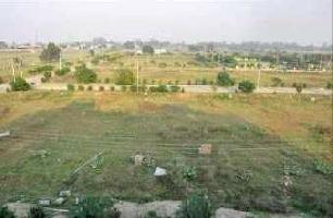  Residential Plot for Sale in Taraori, Karnal
