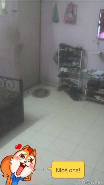1 BHK Residential Apartment 565 Sq.ft. for Sale in Uttam Nagar, Nashik
