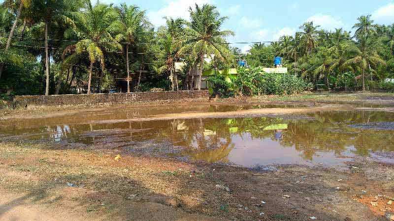 Agricultural Land 35 Cent for Sale in Kundapura, Udupi