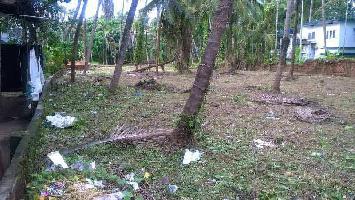  Residential Plot for Sale in Koothuparamba, Kannur