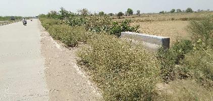  Agricultural Land for Sale in Orai, Jalaun