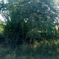  Residential Plot for Sale in Inderlok Colony, Haridwar