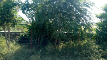  Residential Plot for Sale in Inderlok Colony, Haridwar