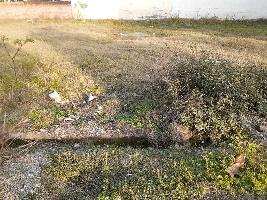  Residential Plot for Sale in Bhel Township, Haridwar