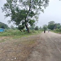  Residential Plot for Sale in Ammapettai, Thanjavur