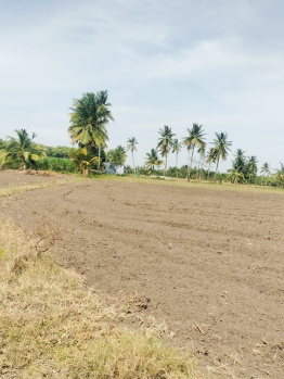  Agricultural Land for Sale in Kurungulam, Thanjavur