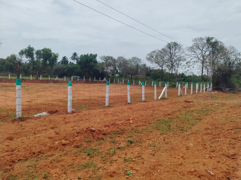 Vadavalli, Coimbatore photo 4