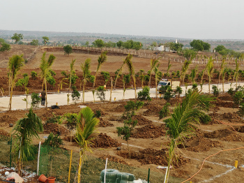  Residential Plot for Sale in Narayankhed, Sangareddy