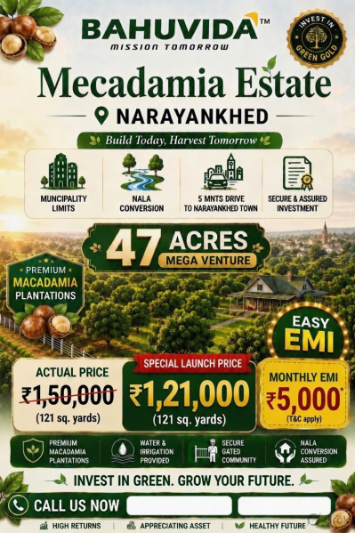Narayankhed, Sangareddy photo 4