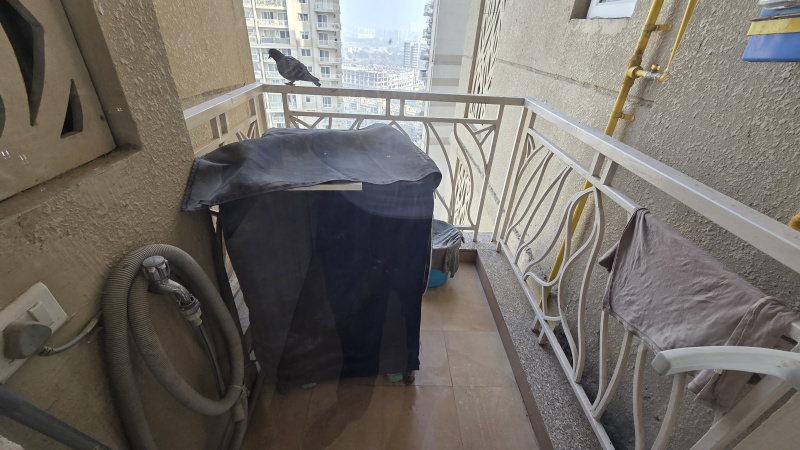 3 BHK 1655 Sq.ft. Apartment for Rent in Sector 70A Gurgaon