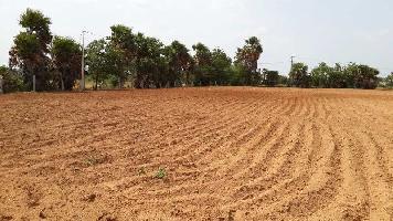  Agricultural Land for Sale in Chandur, Nalgonda
