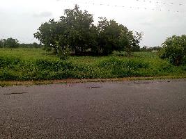  Agricultural Land for Sale in chintha kunta, Mahbubnagar, Mahbubnagar
