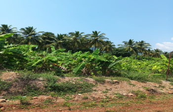  Agricultural Land for Rent in Periyakulam, Theni